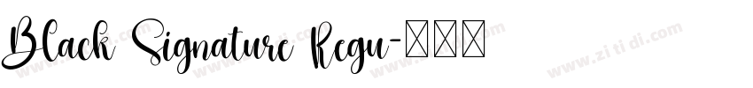 Black Signature Regu字体转换